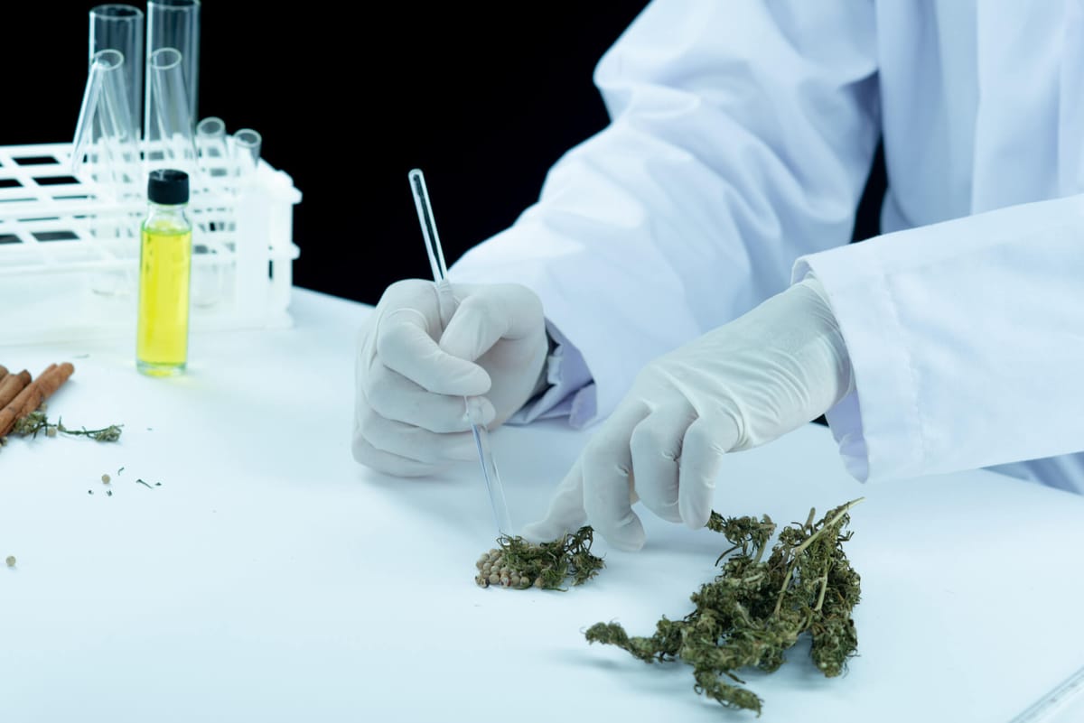 Cannabinoids: Scientific Guide.