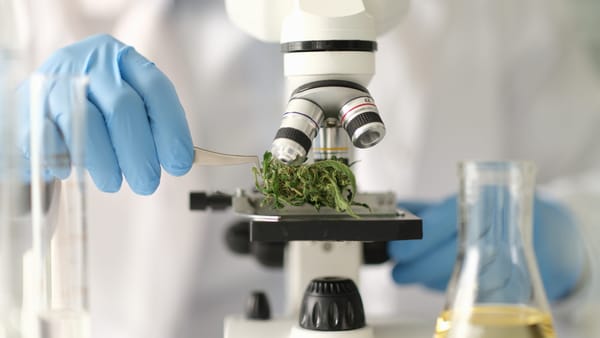 Labortests als Garantie für Qualität